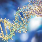 genes, leucemia