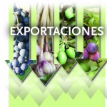 exportaciones