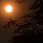 sol