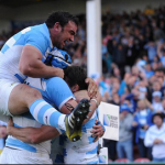 pumas