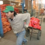 trabajadores