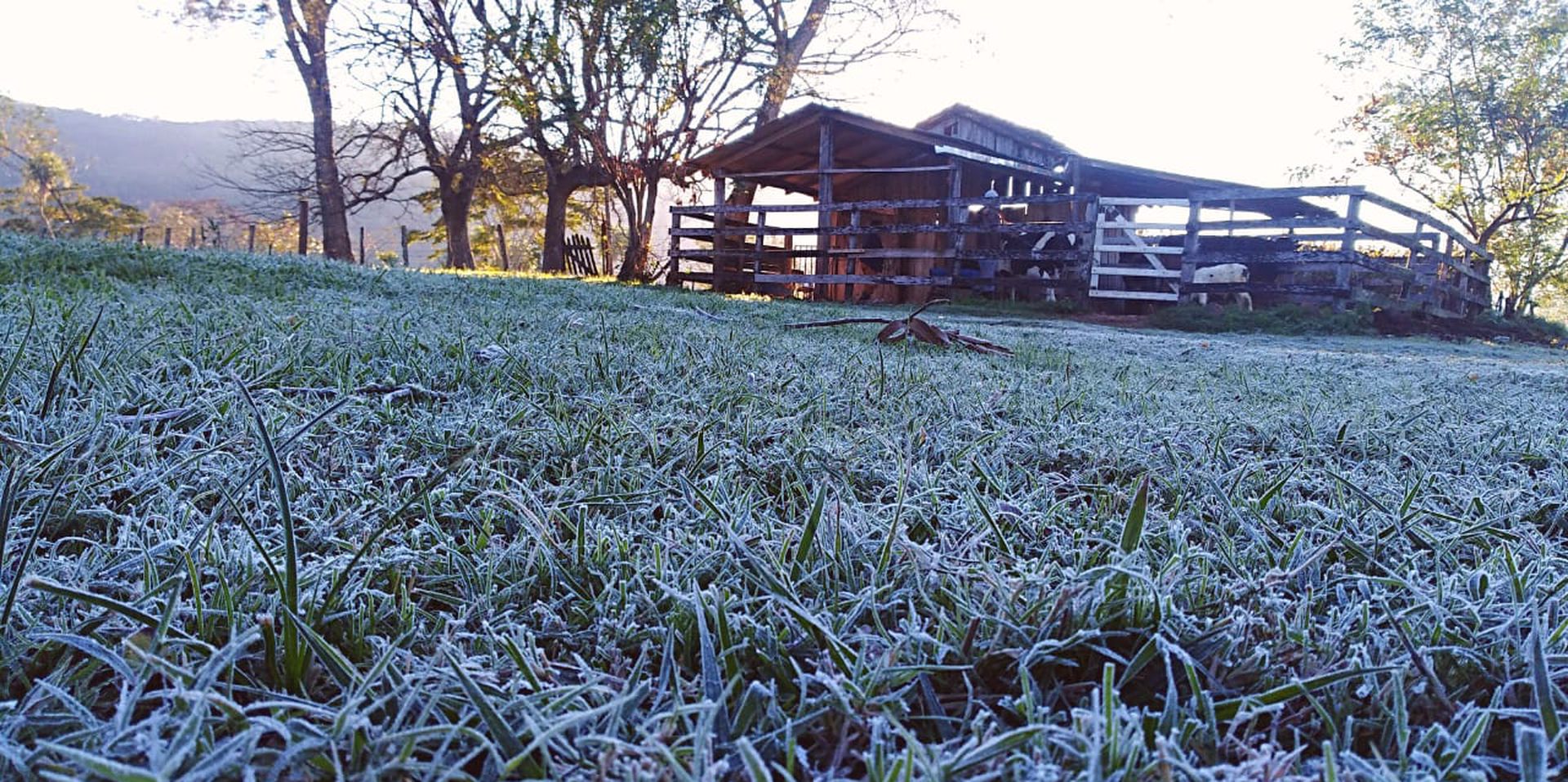 heladas-frio-invierno