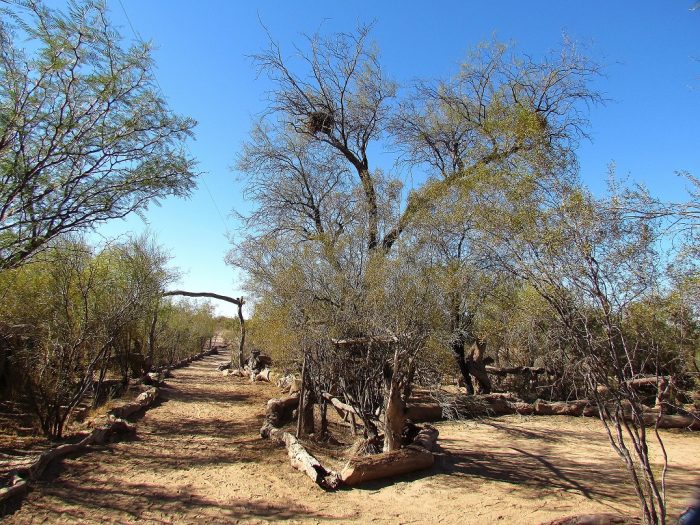 reserva-telteca-2-700x525-1