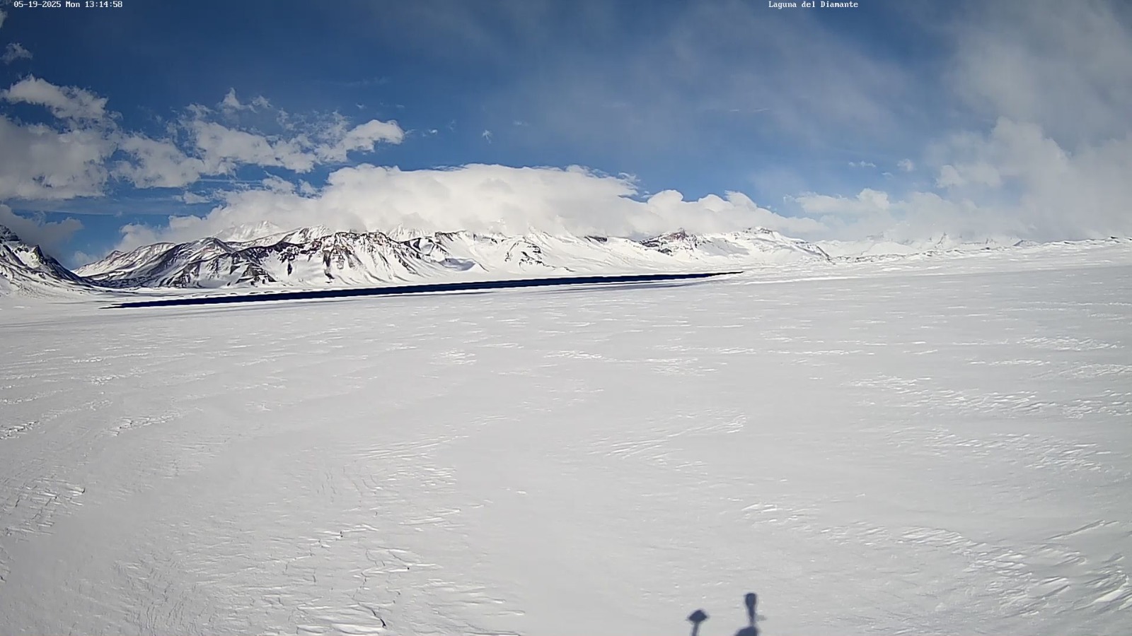nieve