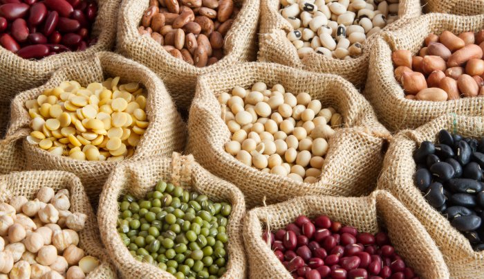 legumbre