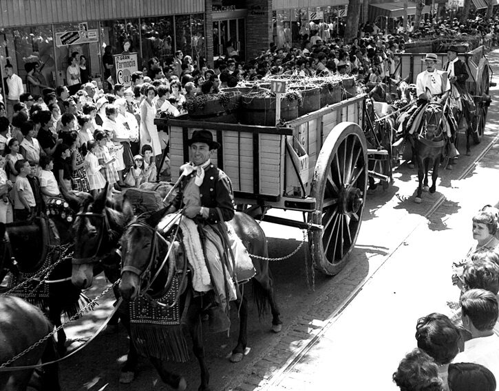 1966-vendimia-e1772706476118