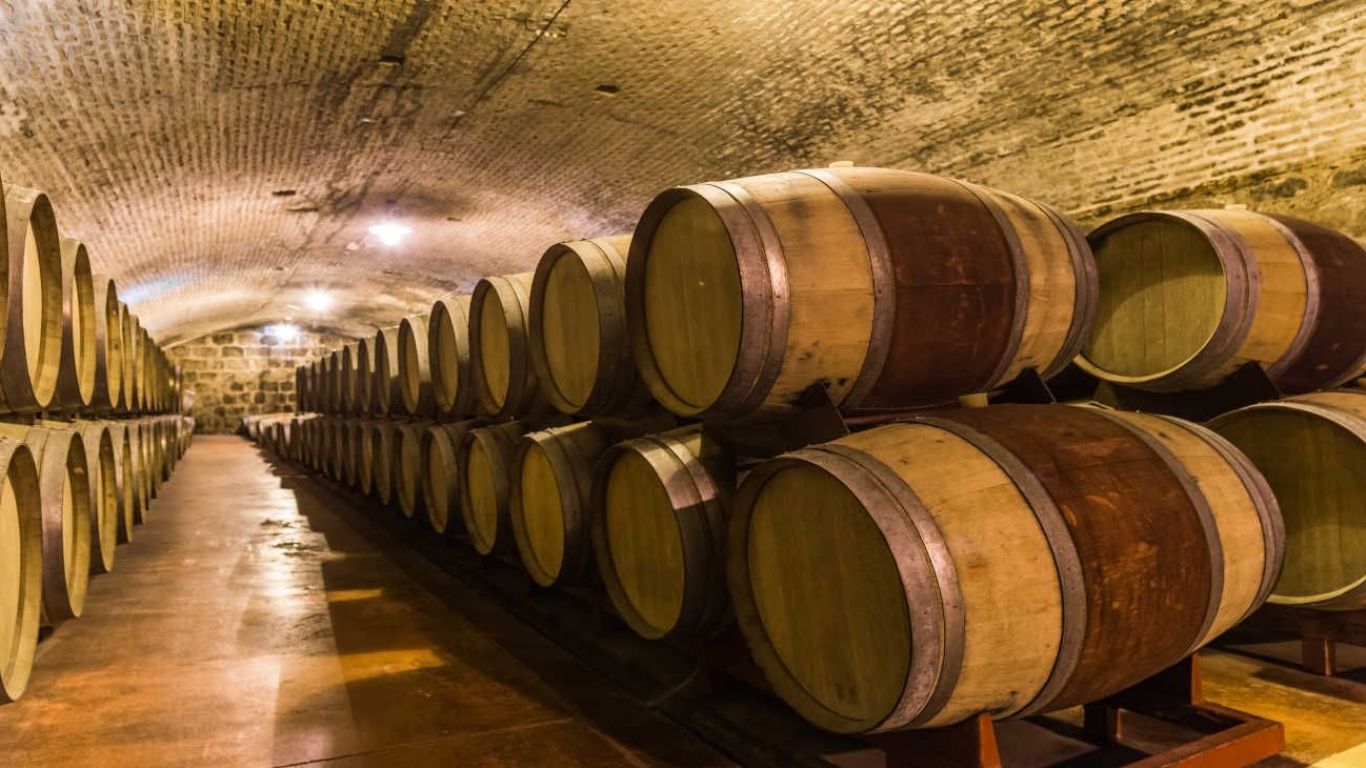 bodegas-2012693
