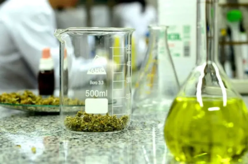 cannabis-medicinal