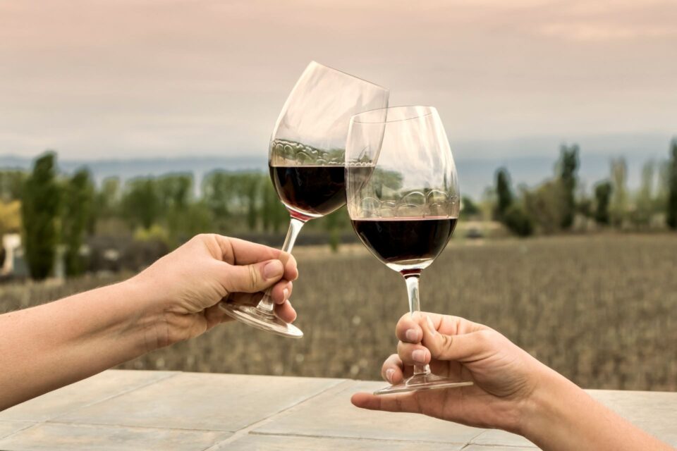 vino